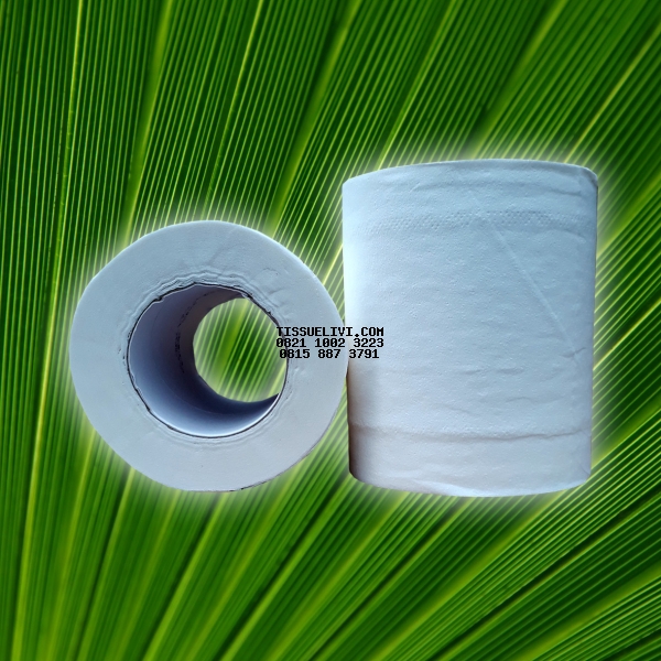 Toilet Roll Unwrapped Livi Smart Due 100 Roll x 205 Sheet / Dus